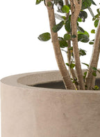 Kante 9.8", 15.7" Dia Round Concrete Planter Set of 3, Modern Style Large - Image 3