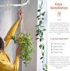 feedee Macrame Plant Hangers - Image 5
