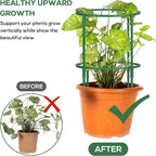 24 Pcs Plant Support Stakes, Half Round Plant Support - Image 2