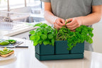 D'vine Dev Herb Garden Planter Set, Plastic Plant Pots - Image 3