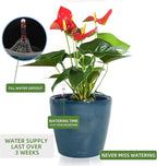 Dexceder 11x10 Inches Self Watering Planter Indoor Outdoor, Inner Pot Design - Image 5