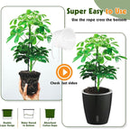 Self-Watering Pots for Indoor Plants, Small African Violet Pots - Image 6