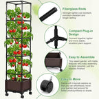 Lezmarket Self Watering Tomato Planter - Image 5