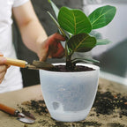 Self Watering Pots Set, 5 Pack 6 Inch Self Watering Pots - Image 6