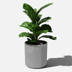 Veradek Mason Series Demi Planter - Image 8