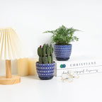 Selamica Ceramic Succulent Pots, 4.6 Inch Small Plant Pots - Image 4