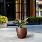 Kante 14 Inch Dia Round Concrete Planter, Indoor Outdoor Large Plant Pot - Image 4