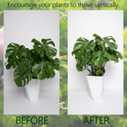 5PCS Monstera Plant Stem Support - Image 3