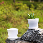 TDHDIKE 10 Pcs Plastic Planters Indoor Flower Plant Pots, Mini Flower Seedlings - Image 4