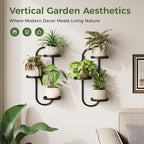 Window Plant Shelves Indoor Outdoor Wall Planters - Image 2