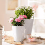 Lechuza MINI-DELTINI Cream White High Gloss, Self-Watering Small Indoor Planter - Image 8