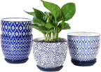 Selamica Ceramic Plant Pots, 5.6 Inch Flower Pots by Selamica