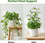 Indoor Trellis for Climbing Plants: 3PC Small Garden Metal Trellis for Vine Ivy - Image 3