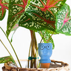 8 Pack Terracotta Watering Spikes, Vacation Self-Watering Planters Devices - Image 7