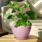Ceramic Modern Glaze Succulent Planter Pot - Image 7