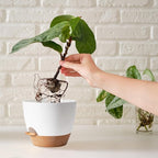 White Self Watering Pots with Drainage Planting Pot - Image 6