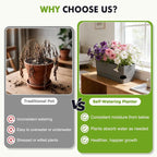 2 Pack Rectangle Self Watering Pots - Image 6