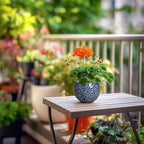 4 inch Plant Pots - Image 7