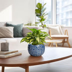 Orchid Pot - 6 Inch Ceramic Plant Pot - Image 6