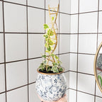 3PCS DNA Plant Trellis Indoor and Outdoor - Image 7