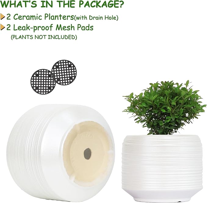 8 Inch + 6 Inch Ceramic Plant Pots Indoor - Image 4
