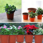 100 Pcs 3.5 Inch Plastic Seedlings Plants, Nursery Pots, Seed Starting Pot - Image 6