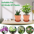 6 Pack 6 Inch Terracotta & Clay Pots - Image 5