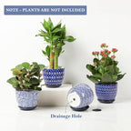Selamica Ceramic Succulent Pots - Image 4