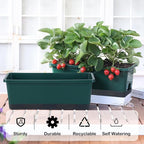 Window Box Planter 8 Pcs, 17 Inches Rectangle Flower Pots - Image 3