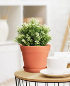homenote Plant Pots, 7.5 Inch Flower Pots - Image 6