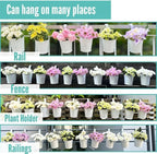LaLaGreen 6 Inch Hanging Planter Iron - Image 8