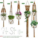 Macrame Plant Hangers - Image 6