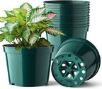 BTPLASTIK 15 Pack 6 Inch Plant Pots by BTPLASTIK