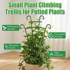 6Pcs Indoor Small Trellis, Trellis - Image 4