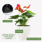 Dexceder 18x17 Inches Rattan Self Watering Planter Indoor Outdoor, Inner Pot - Image 5