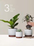 LE TAUCI Ceramic Pots for Plants, 8+6.7+5.5 Inch Plant Pots Indoor, Flower Pot - Image 7