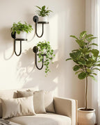 Wall Plant Holder – Hanging Planters - Image 7