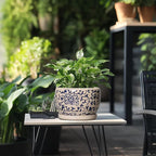 SQOWL Ceramic Planters for Indoor Plants - Image 5