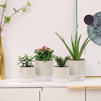 Self Watering Pots for Indoor Plants, 5 & 4 Inch Stylish Flower Pots - Image 5