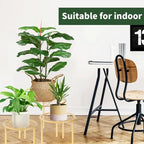 5-piece set of metal plant potted flower racks, heavy-duty flower pot plant - Image 9