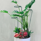 Plant Stake Support - Image 6