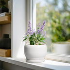 SQOWL Ceramic Flower Pots - Image 2