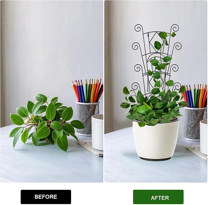 4 Pack Stackable Metal Plant Trellis - Image 5