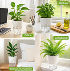 Planterhoma 8 Pack Self Watering Pots - Image 8