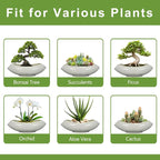 Bonsai Pots 18 Inch - Image 7