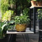 SQOWL Ceramic Flower Pots - Image 5