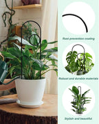Small Plant Trellis for Climbing Plants Indoor - Image 5