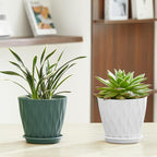 FaithLand 6-Pack 6-Inch Plastic Plant Pots - Image 4