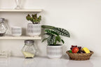 Docrin 3-Pack Ceramic Planters Set - Image 5
