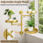 Rotating Window Plant Shelves - Image 2